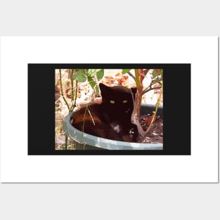 Kitten in Garden Pot Posters and Art